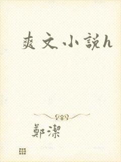爽文小说h封面