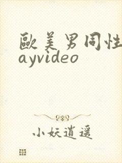 欧美男同性恋gayvideo