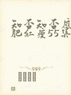 知否知否应是绿肥红瘦55集封面