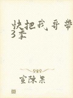 快把我哥带走第3季