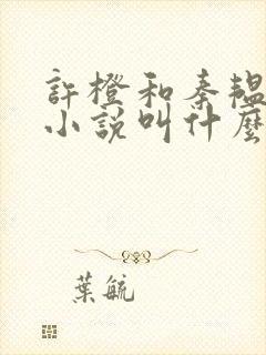 许橙和秦韫原著小说叫什么名字