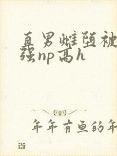 直男雌堕被疯批强np高h