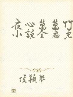 夜心万万竹先生小说全篇免费阅读
