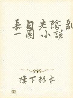 长日光阴 乱作一团 小说