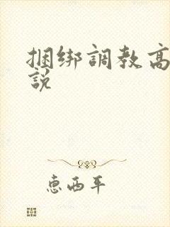 捆绑调教高h小说封面