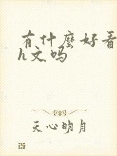 有什么好看的小h文吗