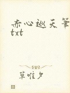 赤心巡天笔趣阁txt
