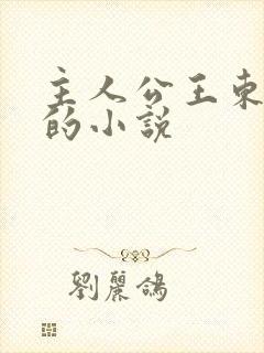 主人公王东唐潇的小说