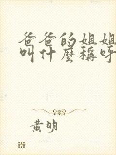 爸爸的姐姐丈夫叫什么称呼