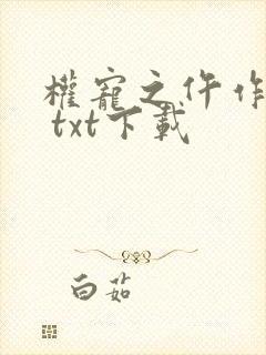 权宠之仵作医妃 txt下载