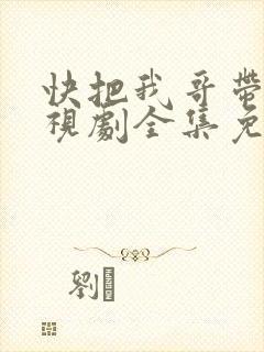 快把我哥带走电视剧全集免费观看