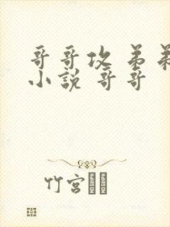 哥哥攻 弟弟受小说 哥哥