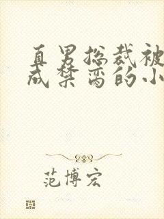 直男总裁被调教成禁脔的小说