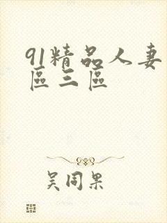 91精品人妻二区三区