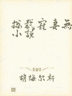 总裁宠妻无度的小说
