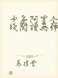 少年阿宾全文在线阅读无弹窗封面