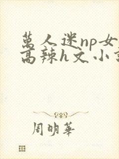 万人迷np女嬷高辣h文小说免费阅读