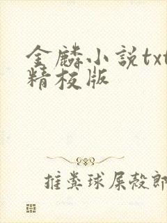 金麟小说txt精校版