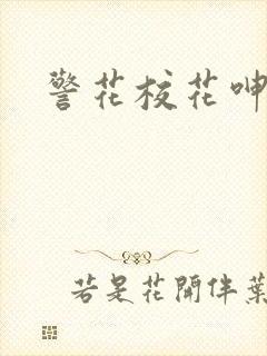 警花校花呻吟