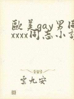 欧美gay男同xxxx同志小说封面