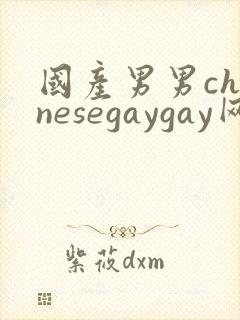 国产男男chinesegaygay网站