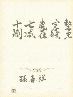 十七岁完整版未删减在线免费观看封面