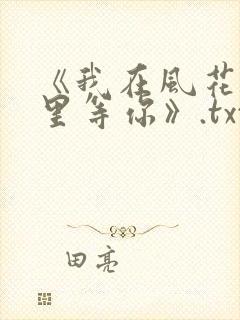 《我在风花雪月里等你》.txt