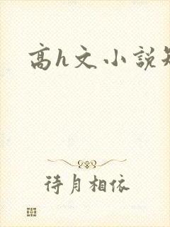 高h文小说短篇