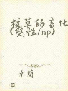 校草的畜化调教(双性/np)