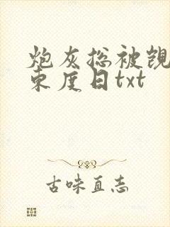 炮灰总被觊觎 东度日txt封面