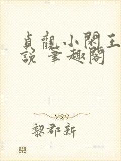 贞观小闲王 小说 笔趣阁