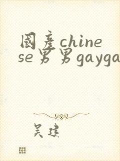国产chinese男男gaygay网站