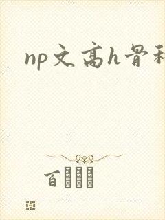 np文高h骨科封面