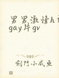 男男激情h视频gay片gv