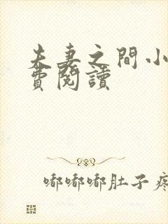 夫妻之间小说免费阅读