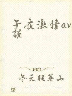 午夜激情av小说