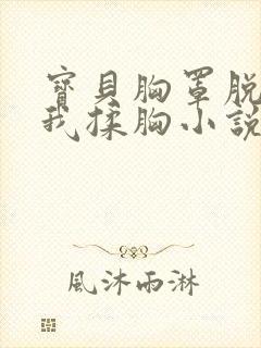 宝贝胸罩脱了让我揉胸小说