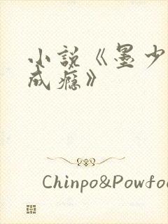 小说《墨少宠妻成瘾》