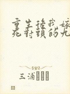 重生后我嫁给了死对头的九叔
