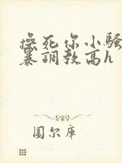 操死你小骚货粗暴调教高h