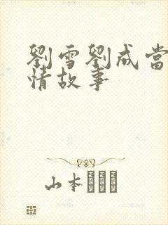 刘雪刘成当代爱情故事封面