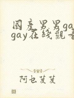 国产男男gaygay在线观看封面
