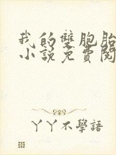 我的双胞胎老婆小说免费阅读
