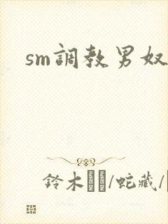 sm调教男奴文