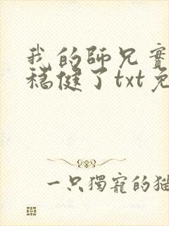 我的师兄实在太稳健了txt免费下