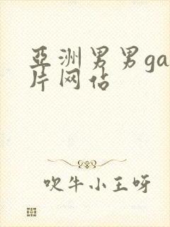 亚洲男男gay片网站