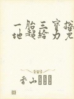 一胎三宝总裁爹地超给力免费下载