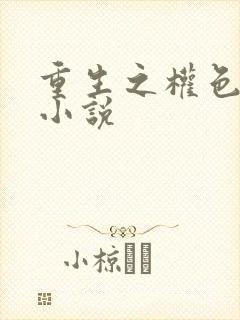 重生之权色巅峰小说