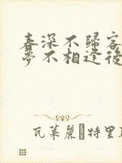 春深不归客,清梦不相逢后续