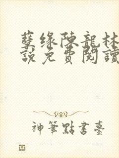孽缘陈龙林茜小说免费阅读封面